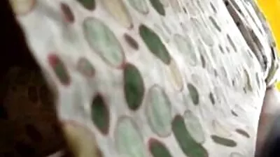 Hosszú hajú, barna szuka, ingyen családi szex videók gyönyörű seggét összeomlik nehéz