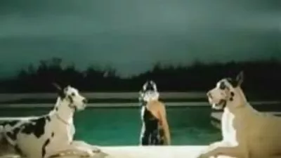 Vöröshajú lány csaladi sex videok fists hogy slutty barna lány Segglyuk